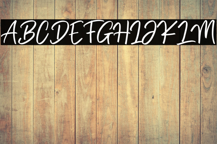 Brittany Golden Example 3