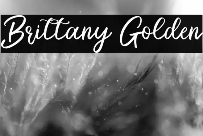 Brittany Golden Font examples