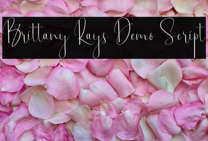 Brittany Rays Demo Script Example 1