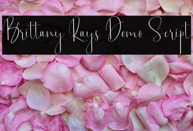 Brittany Rays Demo Script Example 1