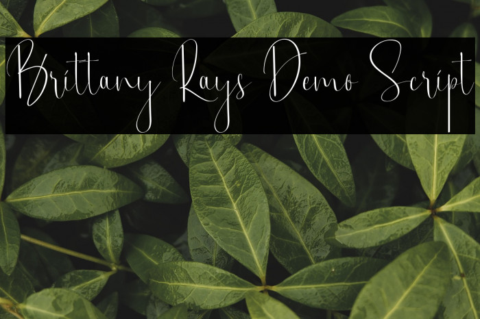 Brittany Rays Demo Script Example 2