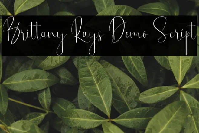 Brittany Rays Demo Script Example 2