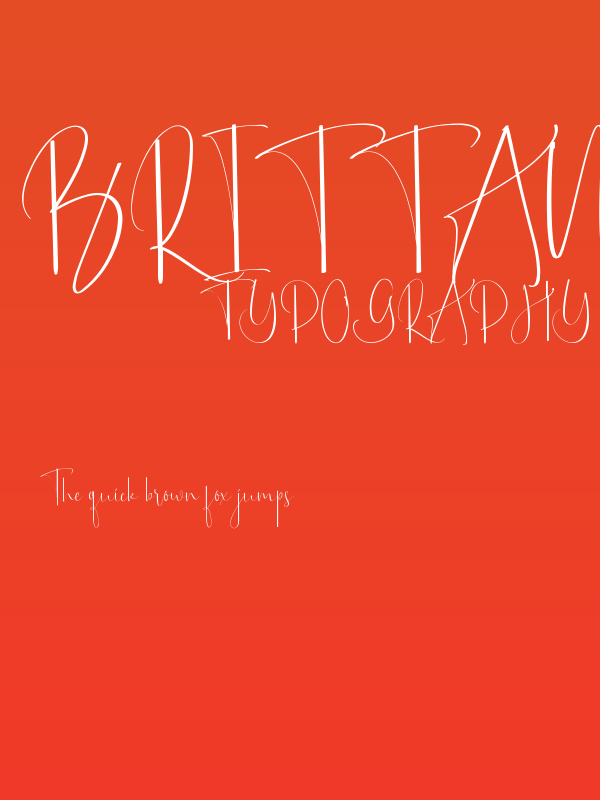 Brittany Rays Demo Script Poster