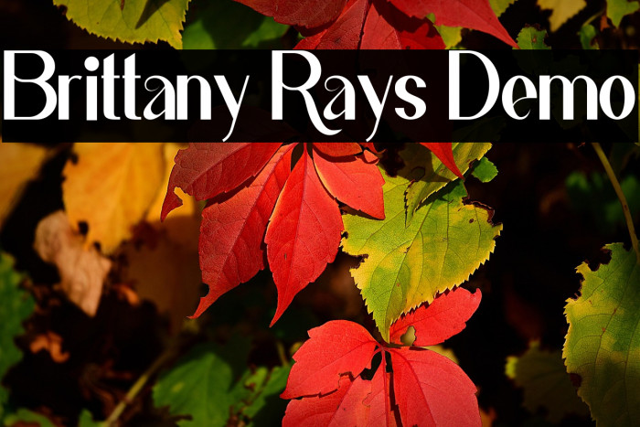 Brittany Rays Demo Example 2