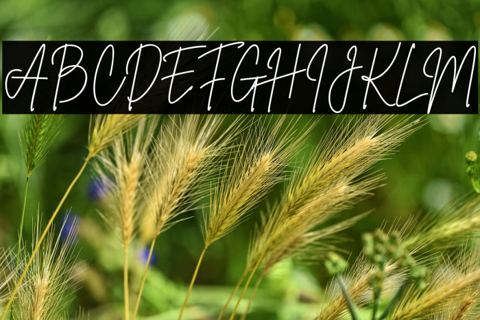 Brittany Signature Example 1