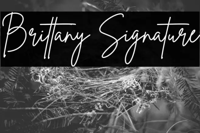 Brittany Signature Font examples