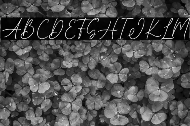 Brittany Font examples