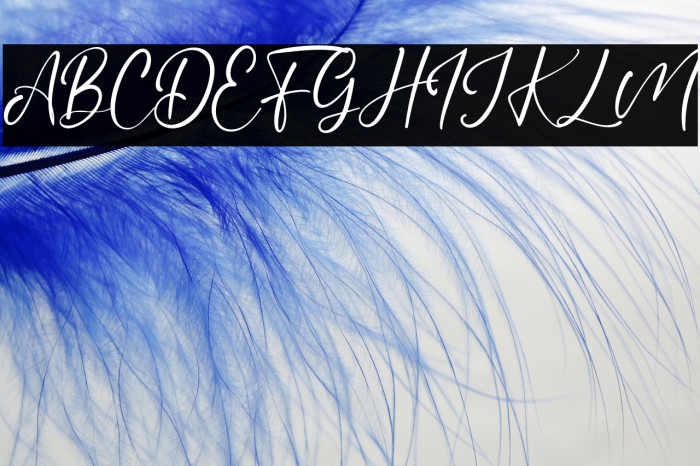 BrittanyCoast Example 1