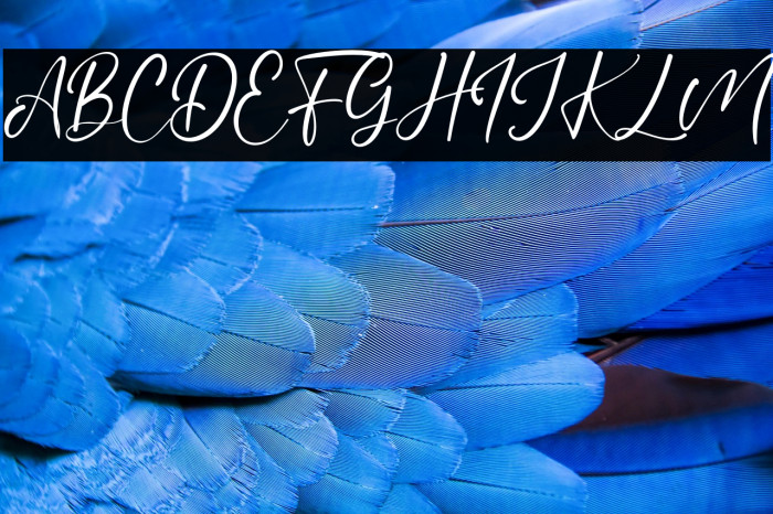 BrittanyCoast Example 3