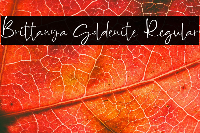 Brittanya Goldenite Regular Example 3
