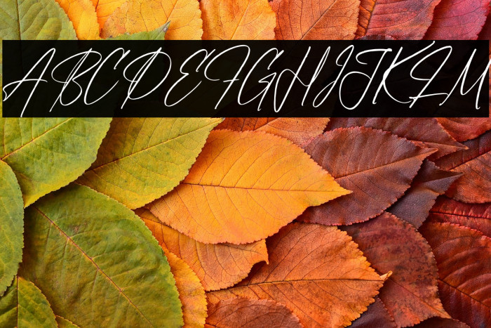 Brittanyhustle Italic Example 2