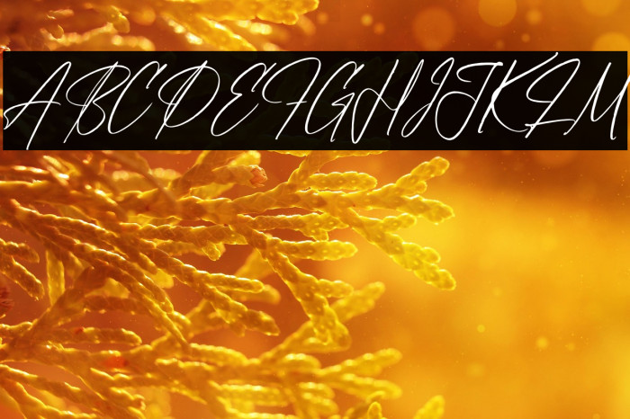 Brittanyhustle Italic Example 3