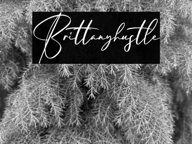Brittanyhustle Font examples