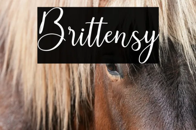 Brittensy Example 2