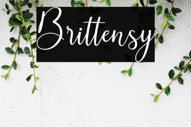 Brittensy Example 3