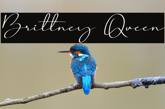 Brittney Queen Example 1