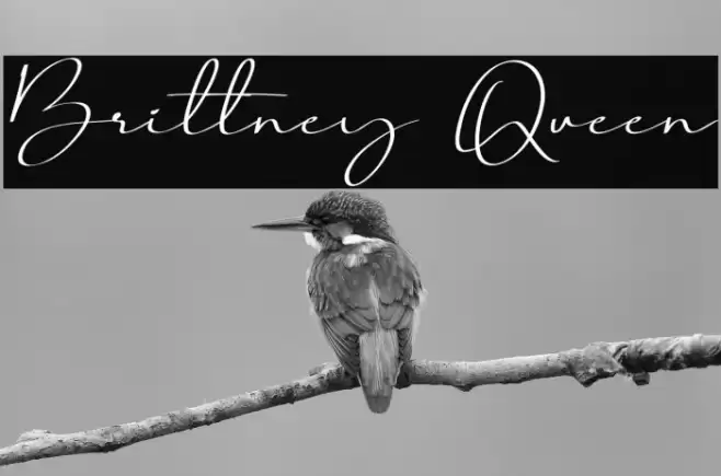 Brittney Queen Font examples