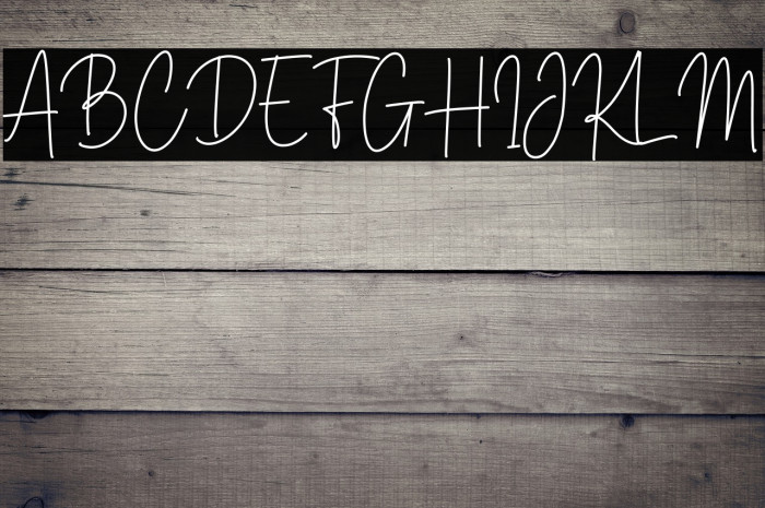 Brittney Signature Example 1