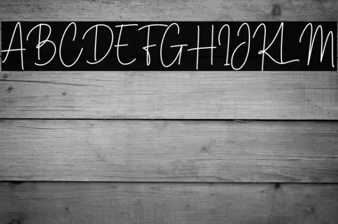 Brittney Signature Font examples