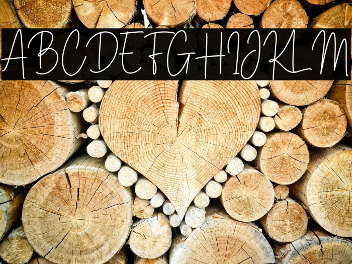 Brittney Signature Example 2