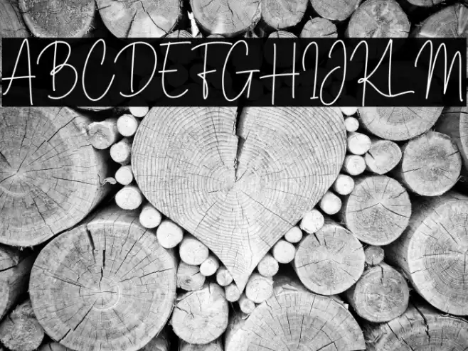 Brittney Signature Font examples