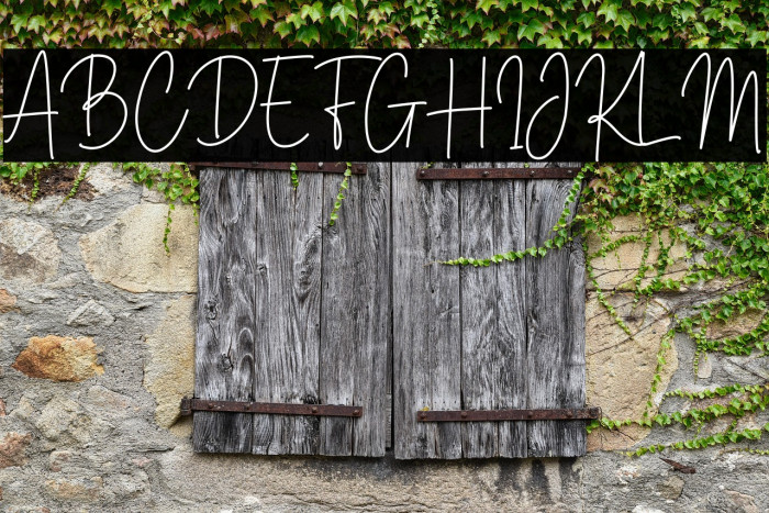 Brittney Signature Example 3