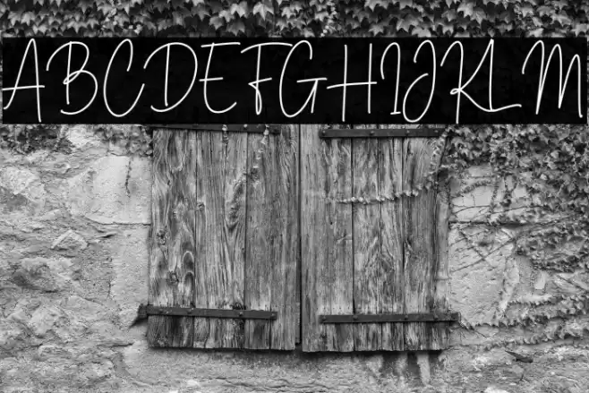 Brittney Signature Font examples