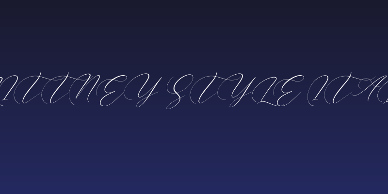 Brittney Style Italic Social Header