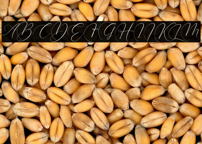 Brittney Style Example 3