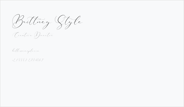Brittney Style Business Card