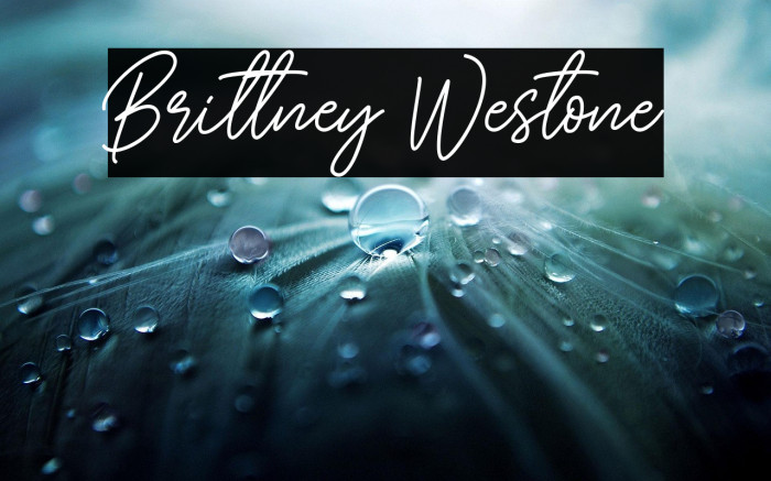 Brittney Westone Example 2