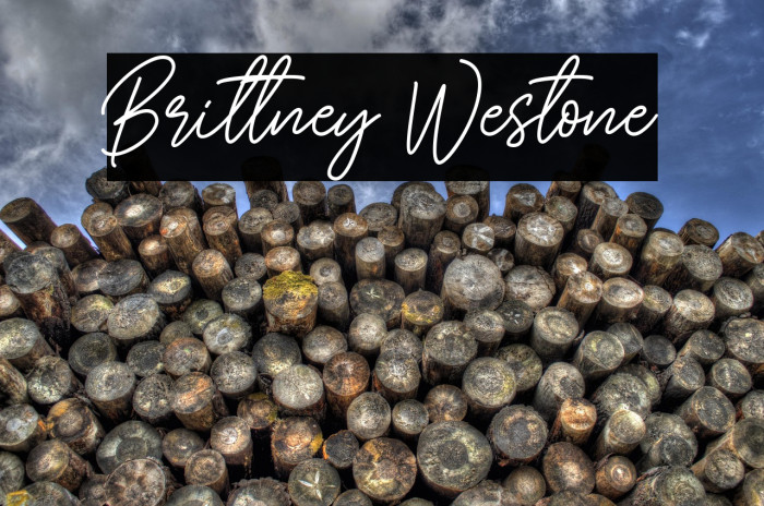 Brittney Westone Example 3