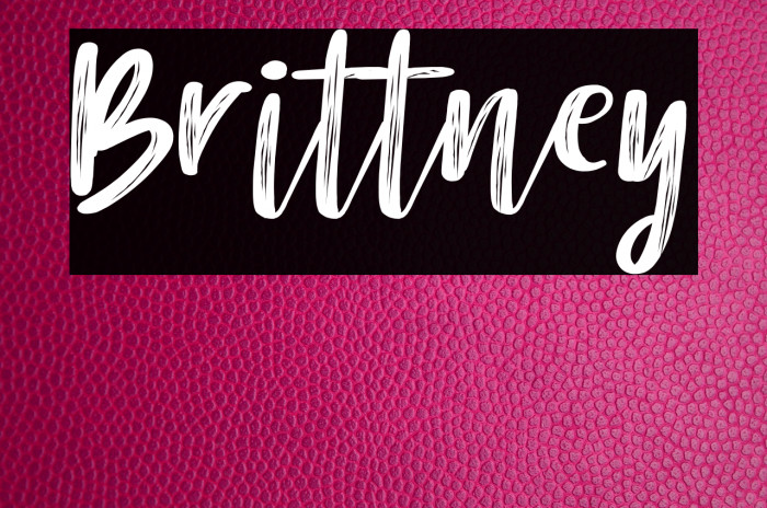Brittney Font examples