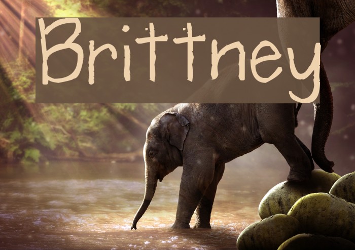 Brittney Font examples