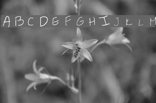 Britts Hand Font examples