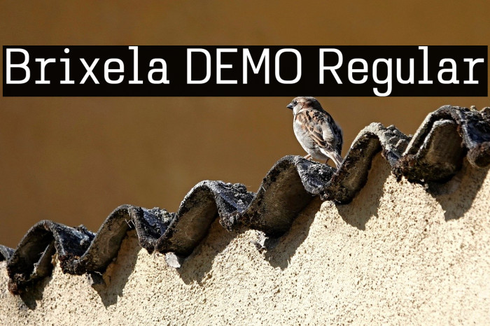 Brixela DEMO Regular Example 2