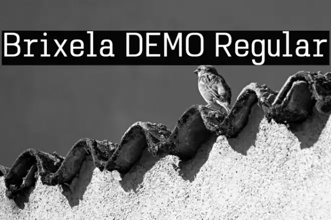 Brixela DEMO Regular Шрифта examples