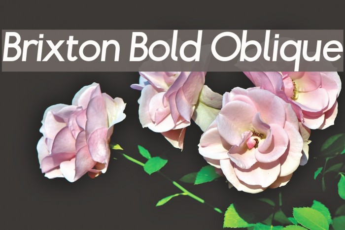 Brixton Bold Oblique Font examples