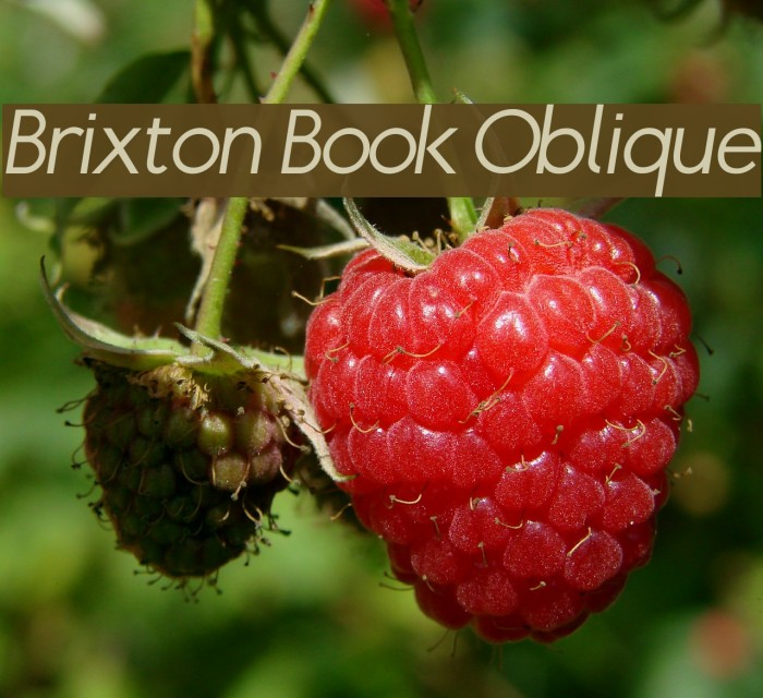 Brixton Book Oblique Font examples