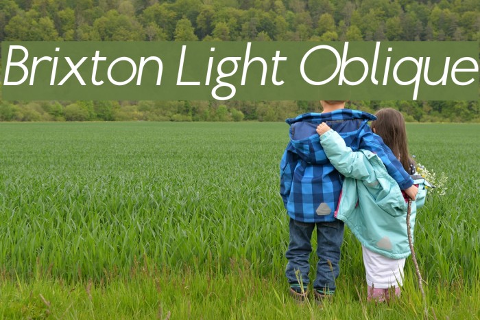 Brixton Light Oblique Font examples