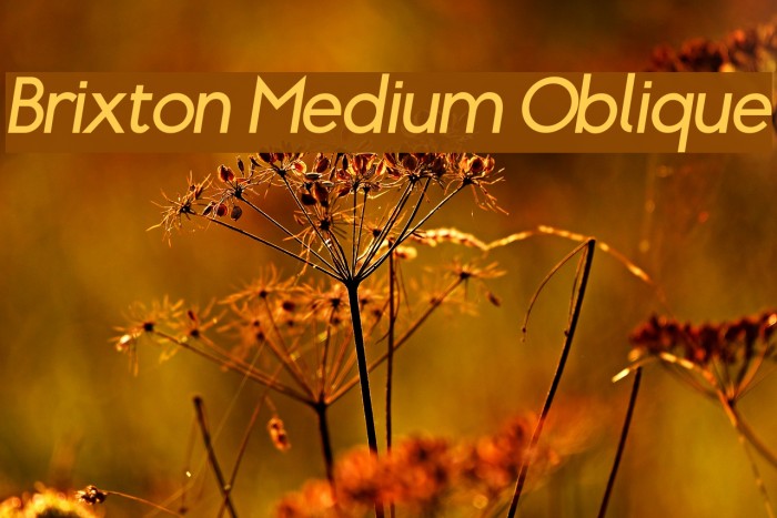 Brixton Medium Oblique Font examples
