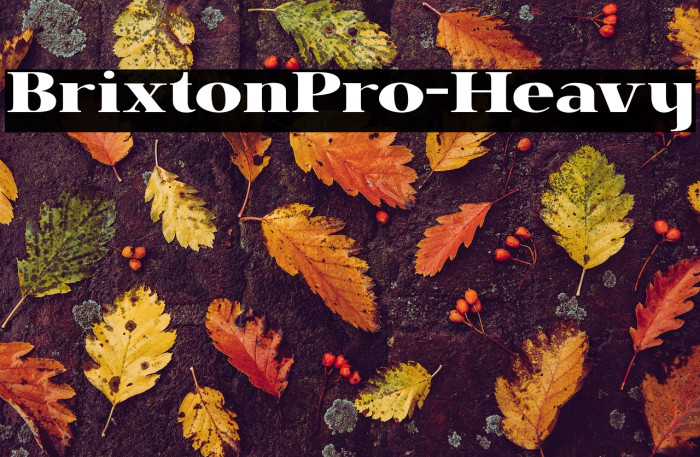 BrixtonPro-Heavy Example 1