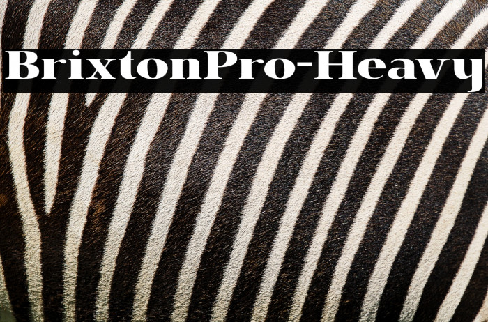 BrixtonPro-Heavy Example 2