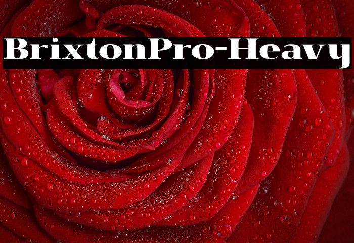 BrixtonPro-Heavy Example 3