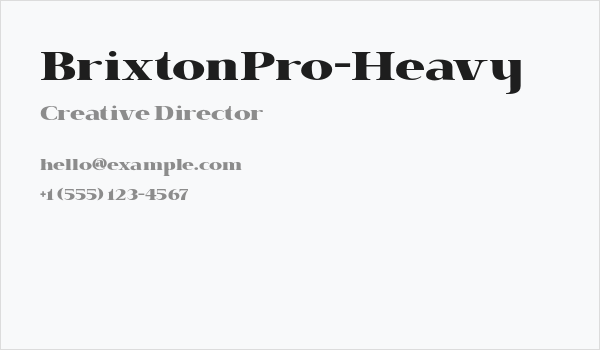 BrixtonPro-Heavy Business Card