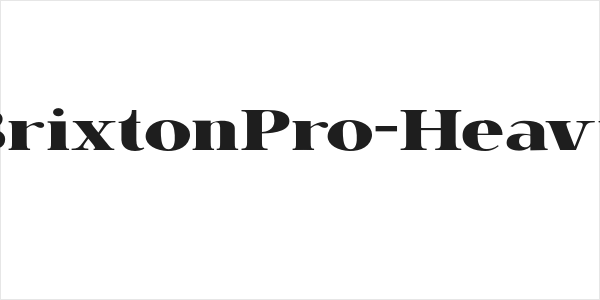 BrixtonPro-Heavy Logo