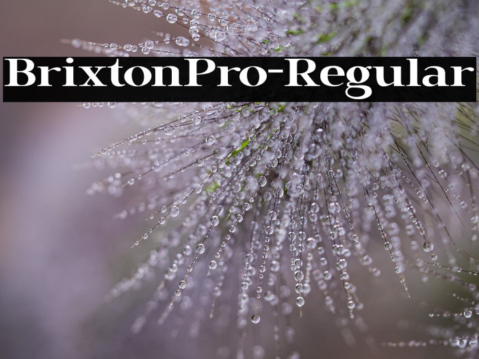 BrixtonPro-Regular Example 1