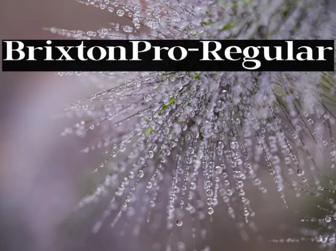 BrixtonPro-Regular Example 1