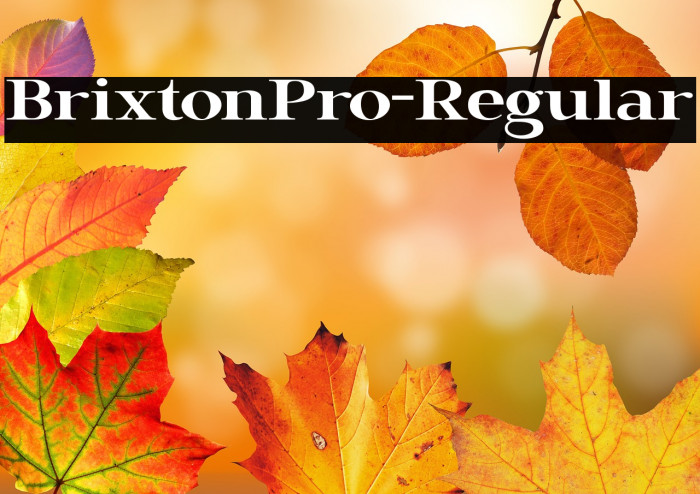 BrixtonPro-Regular Example 2