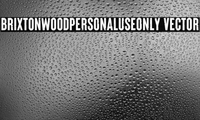 Brixton_Wood_PERSONAL_USE_ONLY Vector Font examples